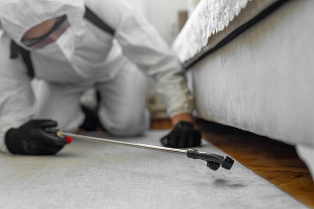 Professional Cockroach Control technician working in Huron, CA