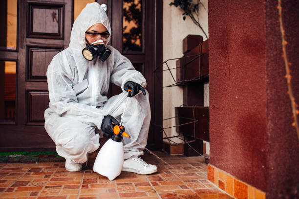 Reliable Cockroach Control contractor in Huron, CA by Nex Pest Control